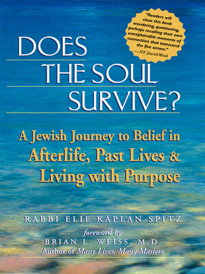 cover image of Does the Soul Survive?